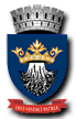 Logo Primaria Municipiului Brașov